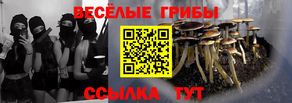Пугачёв  Псилоцибиновые грибы мухоморы  Вход с VPN 